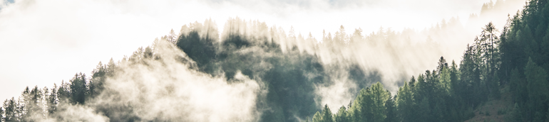 上海甲醛治理 上海甲醛治理