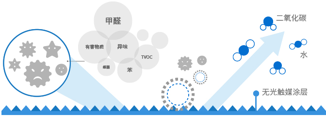甲醛治理加盟 甲醛治理加盟