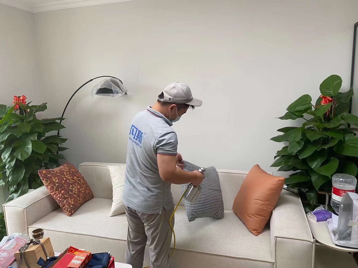 植物能改善家里的空氣質量嗎