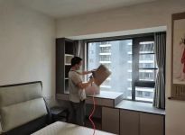 除甲醛土方法，不花錢也能除甲醛